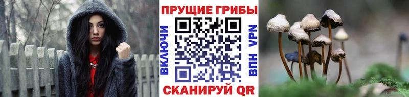 Галлюциногенные грибы ЛСД  Купить  Новотитаровская 